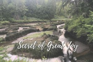 Secret of Great Joy-Deborah Johnson
