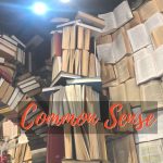 Common Sense-Deborah Johnson