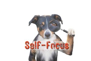 Self Focus - Deborah Johnson