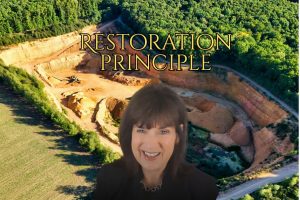 Restoration Principle-Deborah Johnson